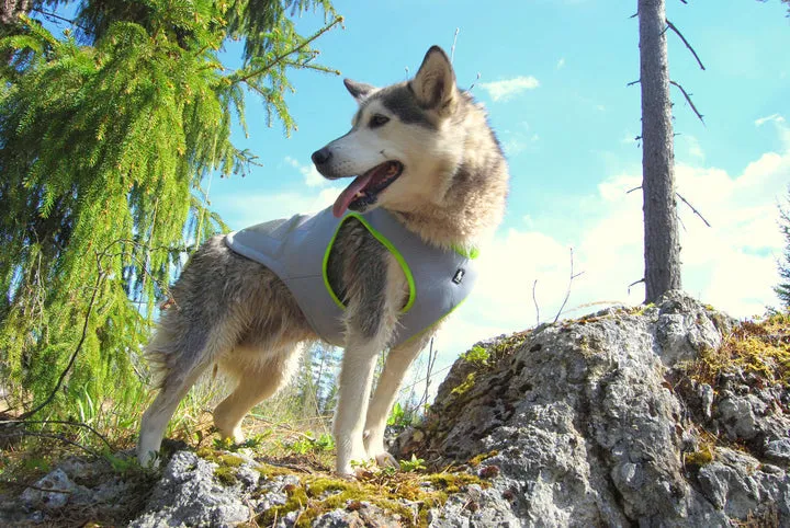 Neon Yellow XL Dog Cooling Vest with Adjustable Zippers