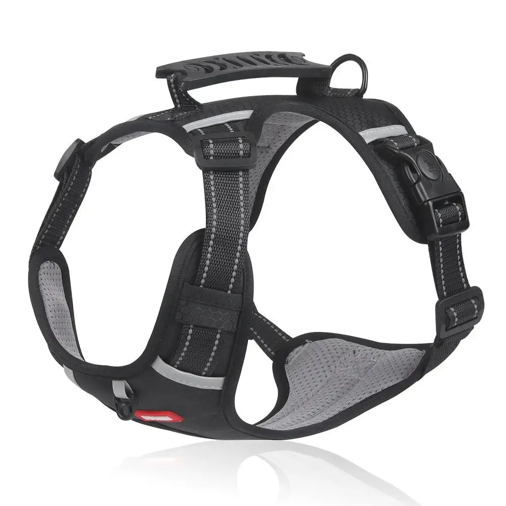 Pet Vest - Hand Holding Rope Vest