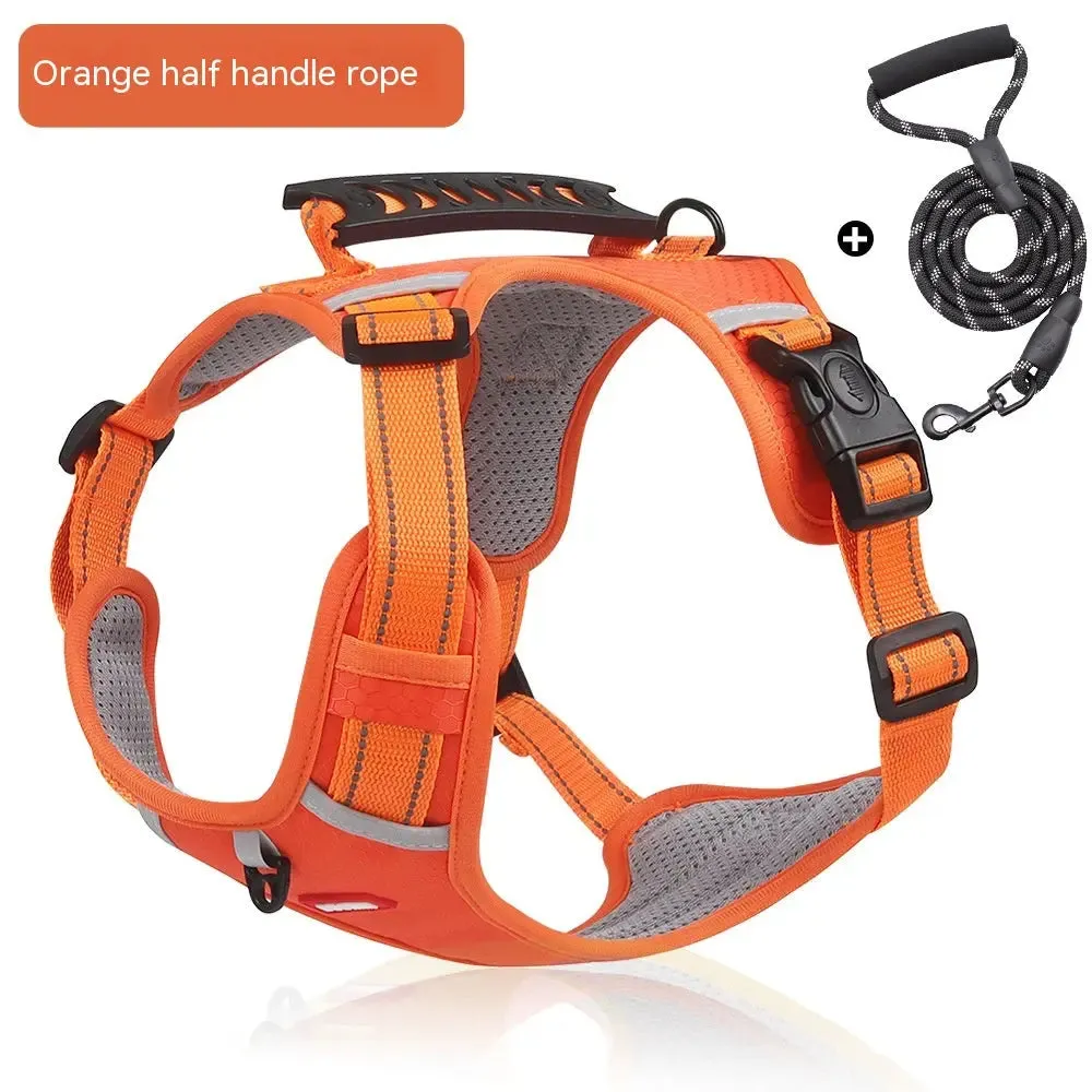 Pet Vest - Hand Holding Rope Vest