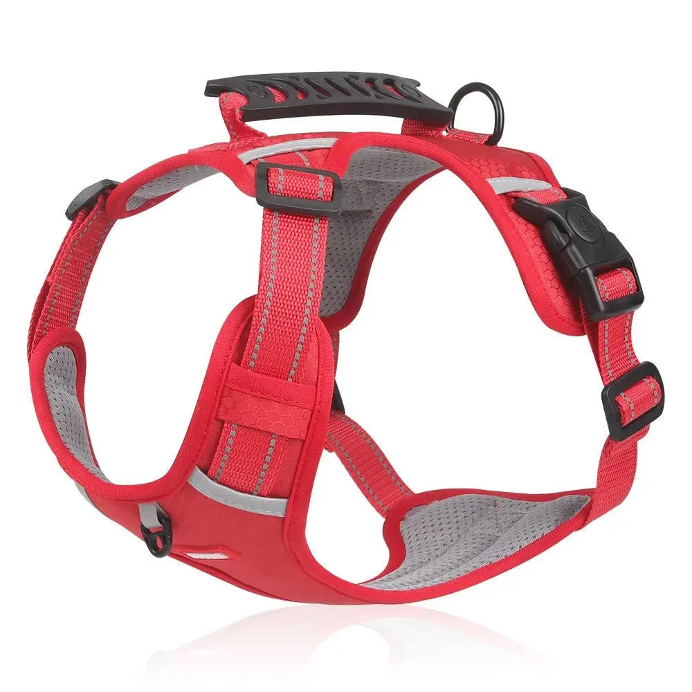 Pet Vest - Hand Holding Rope Vest